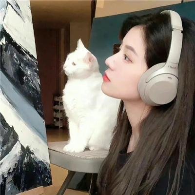 纸牌屋